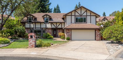 9260 Shady Tree Court, Fair Oaks