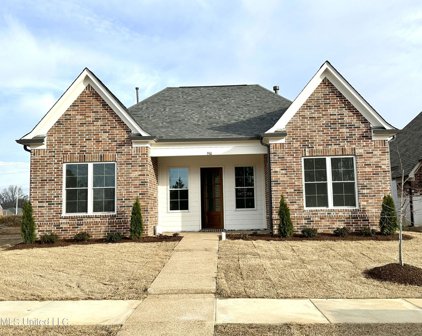3510 Hatton Drive, Nesbit