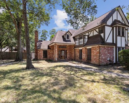 3507 El James Drive, Spring