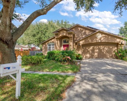 718 Somerstone Drive, Valrico