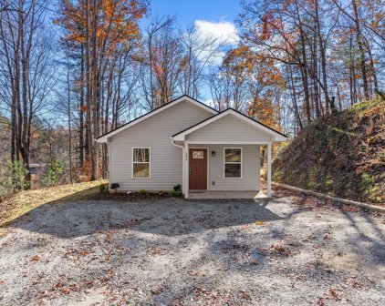 206 Cotton Top  Drive, Brevard
