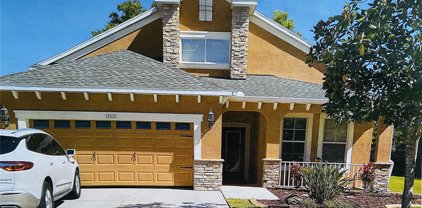 19621 Sunset Bay Drive, Land O' Lakes