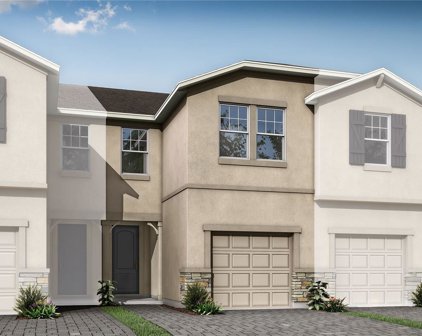 2329 Audubon Preserve Lane, Lutz