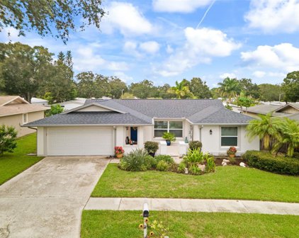 103 Timberview Drive, Safety Harbor
