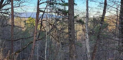 lot 1 Ivy Way, Sevierville