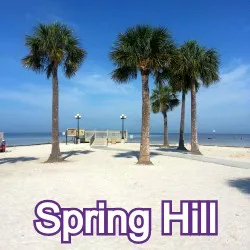 Spring Hill Florida Homes for Sale