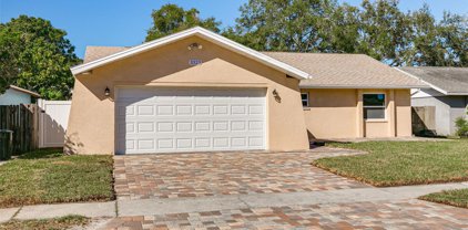3323 Carriage Drive, Palm Harbor