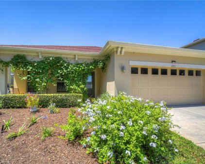 2951 Winglewood Circle, Lutz