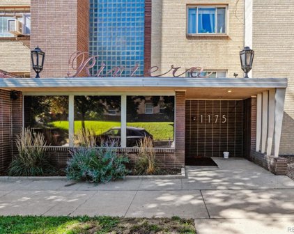 1175 N Emerson Street Unit 207, Denver