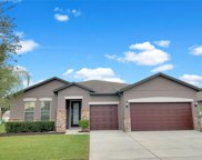 1509 Banner Elk Street, Valrico image