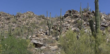 1141 Tortolita Mountain Unit #177, Oro Valley