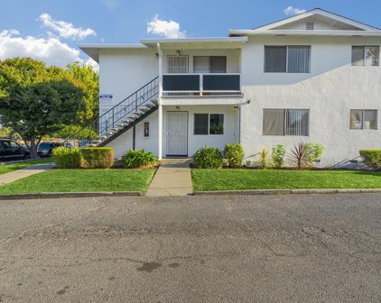 1407 San Tomas Aquino PKWY, San Jose
