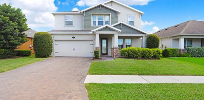 1740 Nature View Drive, Lutz
