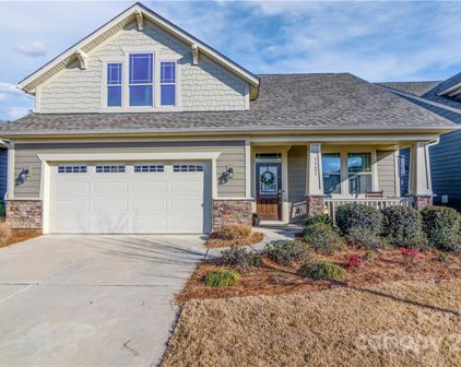 1521 Liberty Row  Drive, Tega Cay