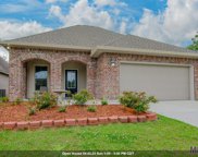 11265 Admirable Oaks Ave, Gonzales image