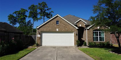 18903 Pinewood Point Lane, Tomball