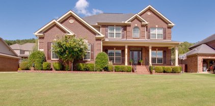 7061 Jacks Creek Lane, Owens Cross Roads