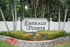 Emerald Pointe Homes For Sale