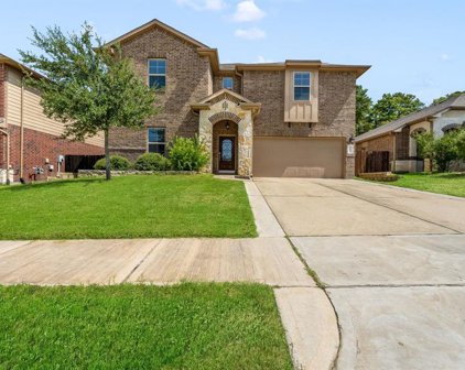 12299 Little Blue Heron Lane, Conroe
