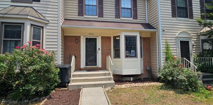 7604 Southern Oak Dr, Springfield