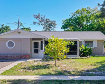 8159 Martin Lane, Seminole