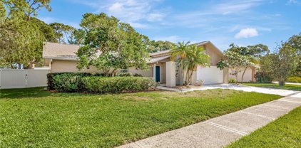 3049 Mockingbird Ct, Clearwater