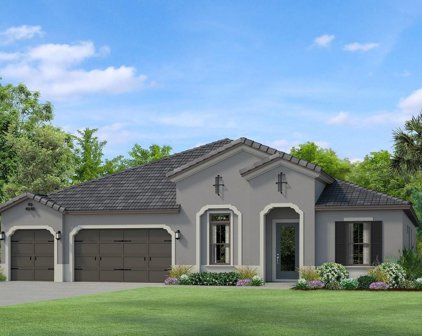 17827 Daisy Farm Drive, Lutz
