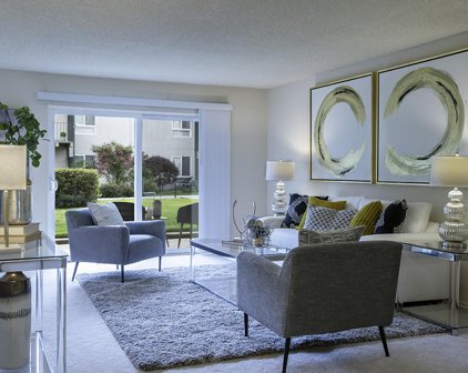 833 N Humboldt ST 203, San Mateo