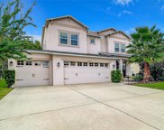 20106 Bluff Oak Boulevard, Tampa image
