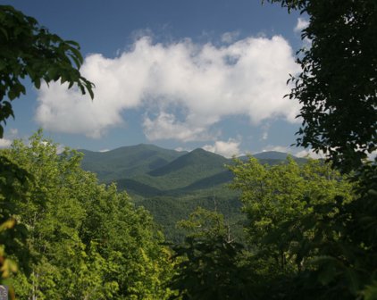 LOT #43 Anderson Drive, Clayton