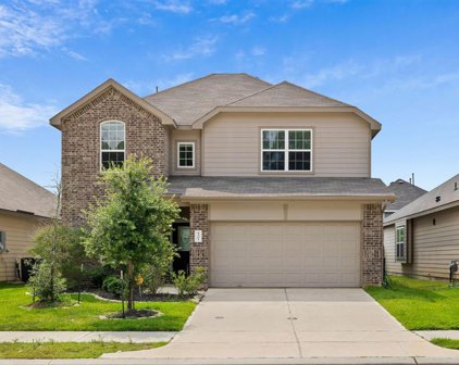 4301 Mcgregor Bluff Lane, Conroe