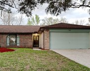 3419 S Peach Hollow Circle, Pearland image