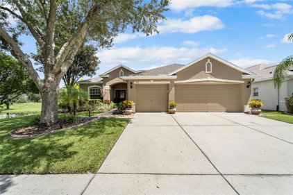 1433 Emerald Hill Way, Valrico