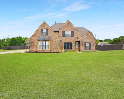 9170 Mitchells Corner Road, Olive Branch