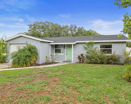 207 Miller Mac Road, Apollo Beach
