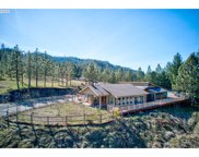 431 WIESEN DR, Glide image