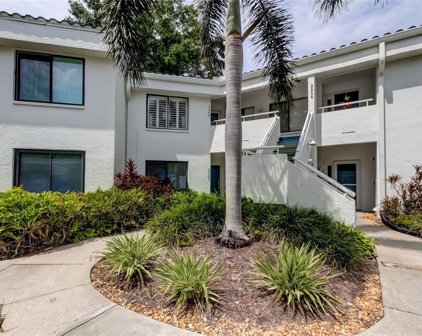 3542 Indigo Pond Drive, Palm Harbor