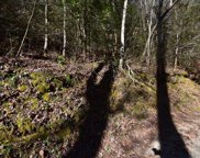 Lot 38 Rich Mountain Way, Sevierville image