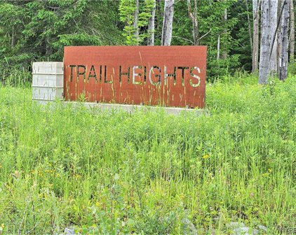 4 Trail Heights  Road, Ellicottville-043689