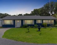 31925 Tracy Lane, Tavares image