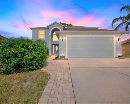24825 Ravello Street, Land O' Lakes