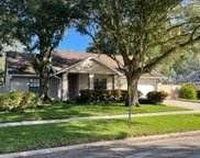 15028 Redcliff Drive, Tampa image