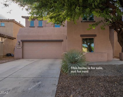 14234 S Avenida Zumba, Sahuarita