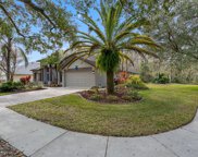 16018 Wilmington Place, Tampa image