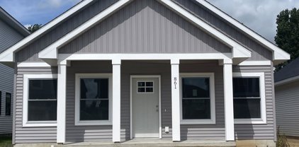 861 Winchester Street, Holland
