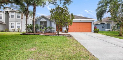 12136 Luftburrow Lane, Hudson