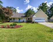 1802 Chickasaw Drive, Albertville image