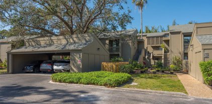 224 Woodland Drive, Osprey