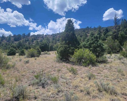 1287 Bear Creek Circle, South Fork