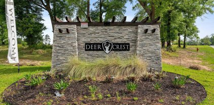 Deer Crest Lane, Mobile